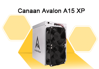 Canaan Avalon A15 XP