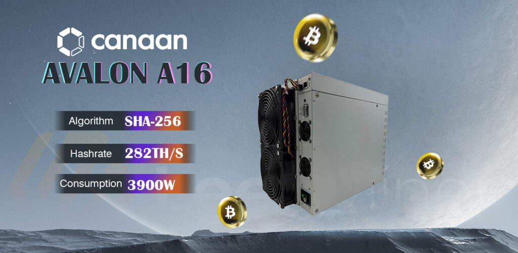 Canaan Avalon A16 282T