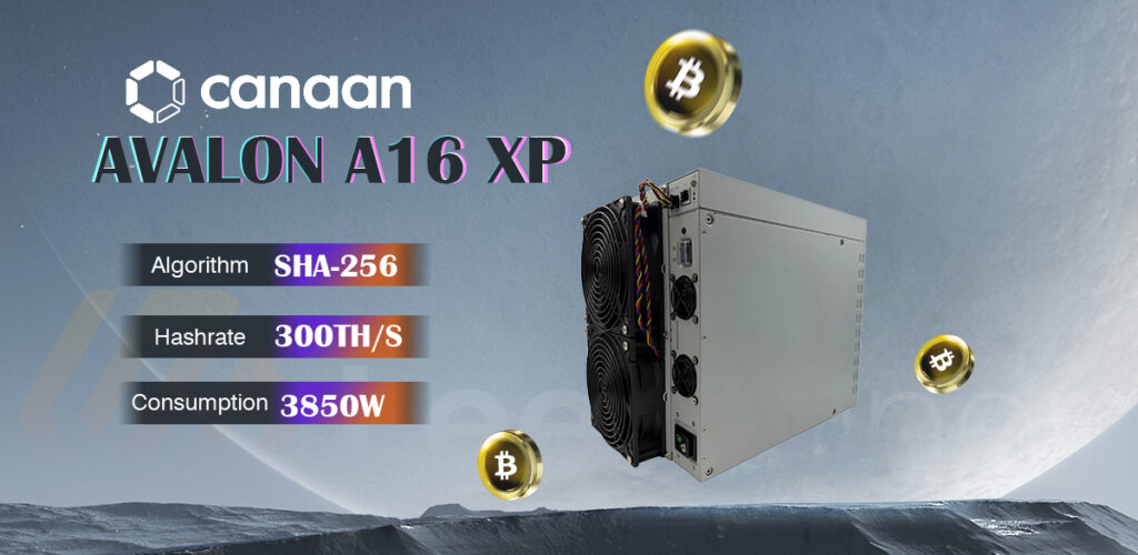 Canaan Avalon A16XP-300T