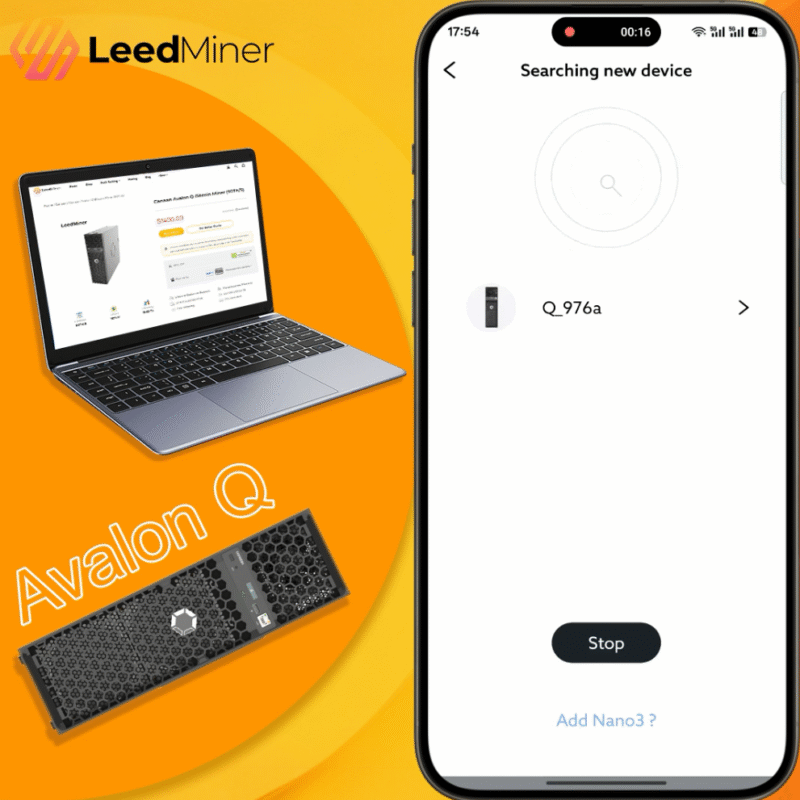 It will display Canaan Avalon Q